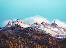 Kaiyun官网-北京国安新任体育总经理及主教练亮相“新工体”